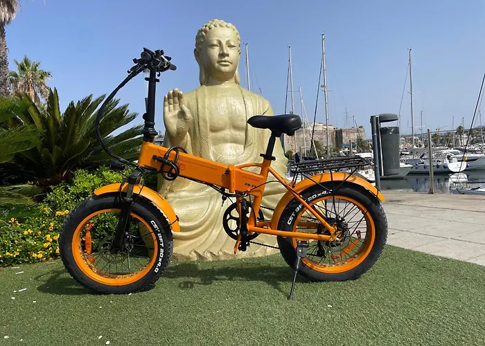 Barco Xunguila Cascais